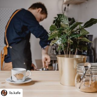 r e p o s t @lis.kafe ❤️☕️ "Prosím pozor. Máme tu jednu novinku. Již nějakou dobu přemýšlíme o pořízení jiného, většího...